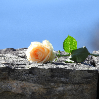 Gunnar Bjarne Bukkestein