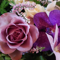 Halldis Nesdal Ellingsen